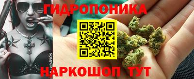 mdma Сланцы