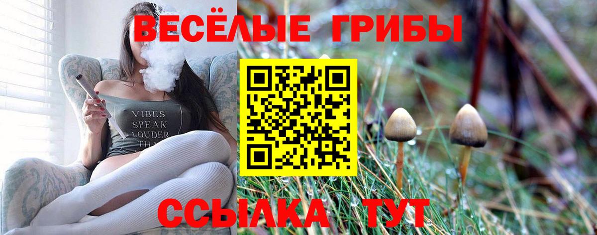 Галлюциногенные грибы мицелий  Псилоцибиновые грибы Magic Shrooms  Вход с VPN  Оренбург 