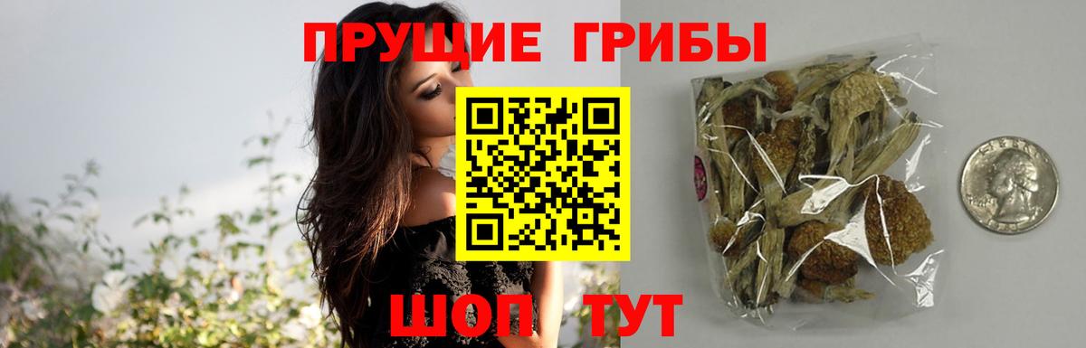 Галлюциногенные грибы мухоморы Оренбург